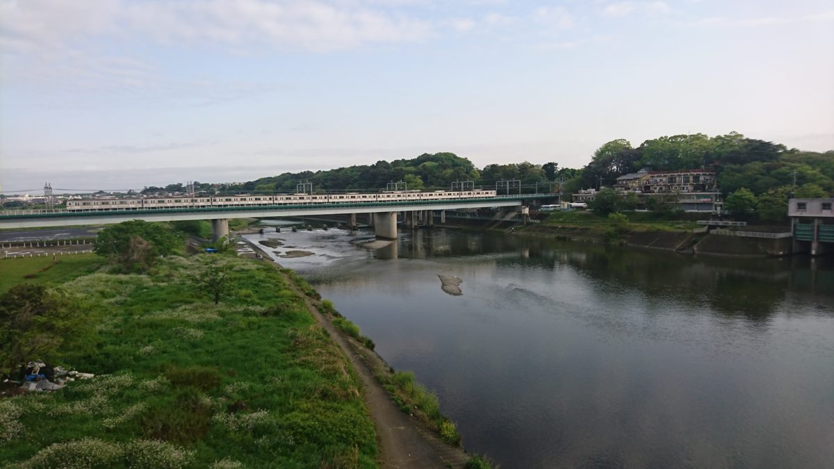 晴れ→雷雨→晴れ→パンク→脱走。