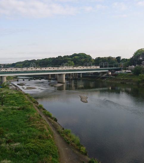 晴れ→雷雨→晴れ→パンク→脱走。