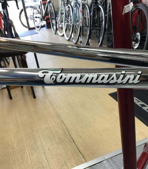 ガラスの鎧　Tommasini SINTESI